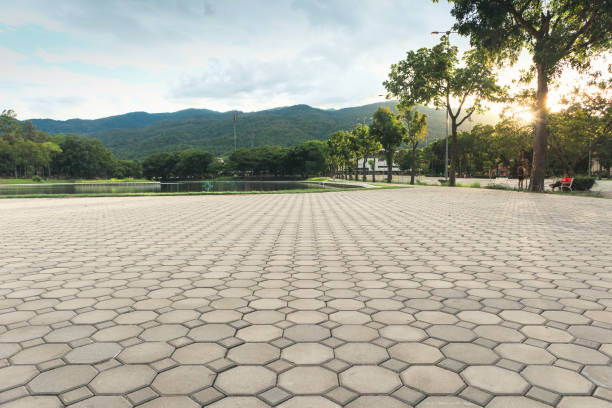Residential Paver Driveway in South Bend, WA